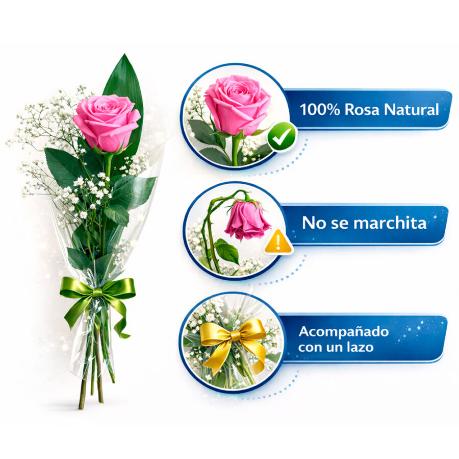 Rosa eterna rosa, arreglo funerario | Tanatorio San José