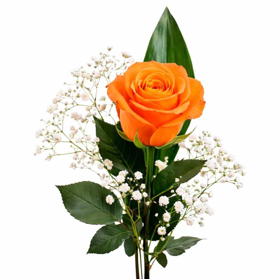 Rosa Eterna Naranja