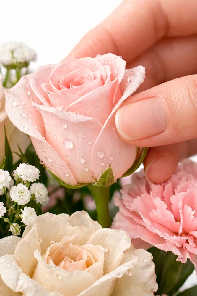 floristeria burgos