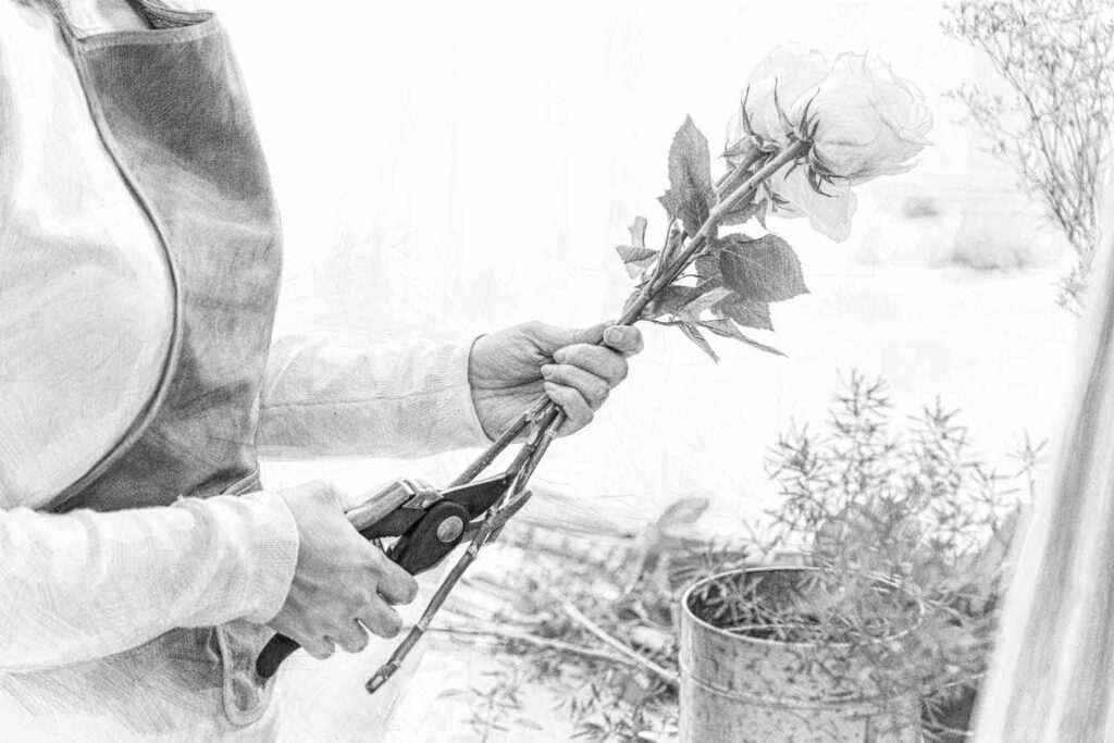 Floristería San José